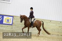 22R13_12841 thumbnail