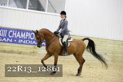 22R13_12861 thumbnail