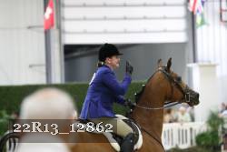 22R13_12862 thumbnail