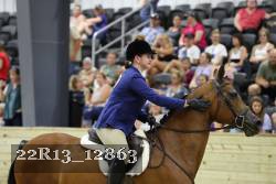 22R13_12863 thumbnail