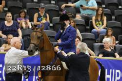 22R13_12866 thumbnail