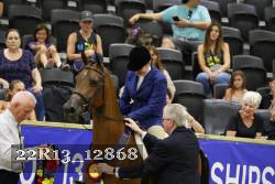 22R13_12868 thumbnail