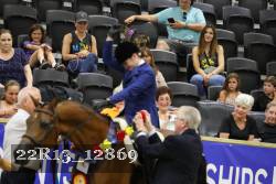 22R13_12869 thumbnail