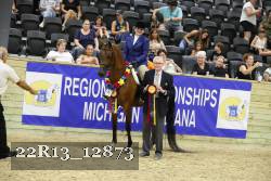 22R13_12873 thumbnail