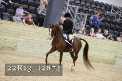 22R13_12874 thumbnail