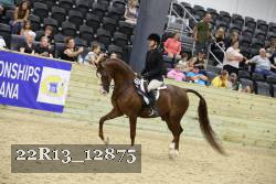 22R13_12875 thumbnail