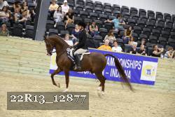 22R13_12877 thumbnail