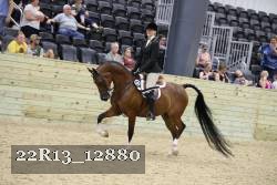 22R13_12880 thumbnail