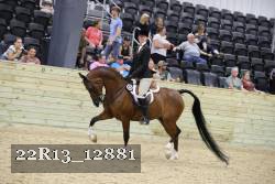 22R13_12881 thumbnail