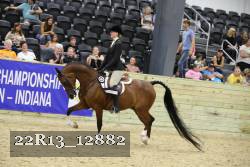 22R13_12882 thumbnail