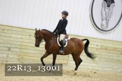 22R13_13001 thumbnail