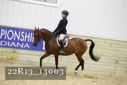 22R13_13003 thumbnail