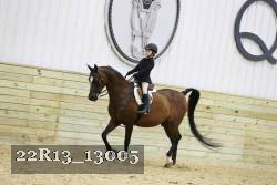 22R13_13005 thumbnail