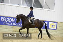 22R13_13011 thumbnail