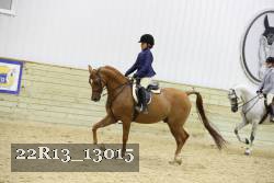 22R13_13015 thumbnail