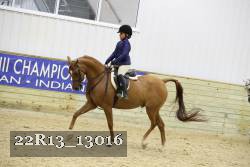 22R13_13016 thumbnail