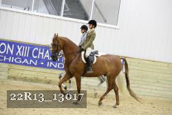 22R13_13017 thumbnail