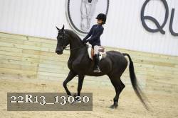 22R13_13020 thumbnail