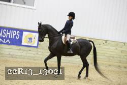 22R13_13021 thumbnail