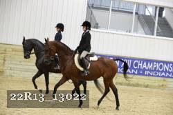 22R13_13022 thumbnail