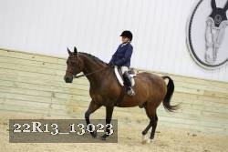 22R13_13023 thumbnail