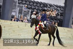 22R13_13056 thumbnail