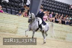 22R13_13184 thumbnail