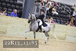 22R13_13185 thumbnail