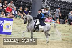 22R13_13186 thumbnail