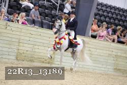 22R13_13189 thumbnail