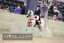 22R13_13190 thumbnail