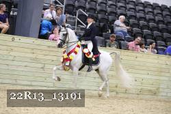 22R13_13191 thumbnail