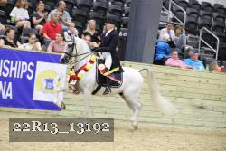 22R13_13192 thumbnail