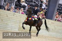 22R13_13194 thumbnail