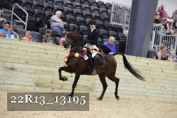22R13_13195 thumbnail