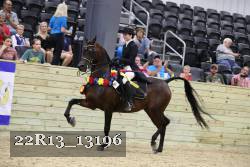 22R13_13196 thumbnail