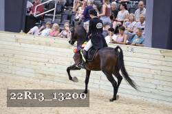 22R13_13200 thumbnail