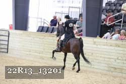 22R13_13201 thumbnail