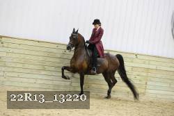 22R13_13220 thumbnail