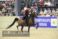 22R13_13262 thumbnail