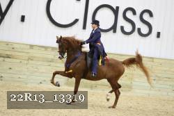 22R13_13319 thumbnail