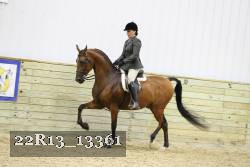22R13_13361 thumbnail