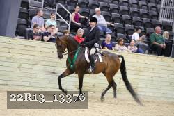 22R13_13376 thumbnail