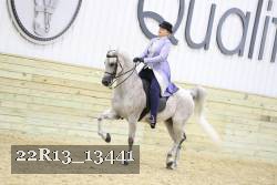 22R13_13441 thumbnail