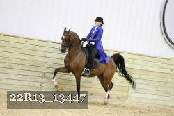 22R13_13447 thumbnail