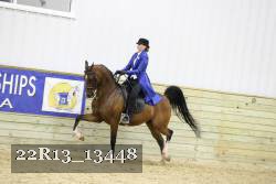 22R13_13448 thumbnail