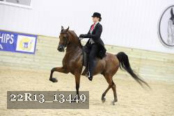 22R13_13449 thumbnail