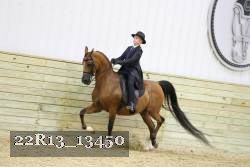 22R13_13450 thumbnail