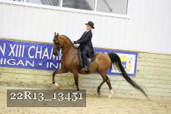 22R13_13451 thumbnail