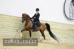 22R13_13452 thumbnail